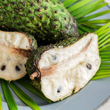 Live Guanabana Soursop Tree, 6-10 Inch Potted Tropical Fruit Tree Plant