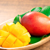 Live Mango Fruit Tree In Gallon Pot, Outdoor Plant For Warm Climate Gardens