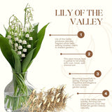 10 Hardy Perennial Lily Of The Valley Rhizomes, Bulbs For Shady Gardens