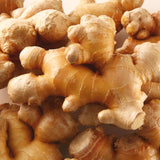 3 Live Ginger Flower Plants, Well-Rooted Culinary Herbs, 4-7 Inches Tall