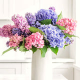 Live Assorted Hydrangea Shrub, 5-11 Inch Starter Plant For Containers, Beds
