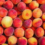 Live Peach Fruit Tree Plant, 12-16 Inches Tall, Sweet, Cold Hardy Garden