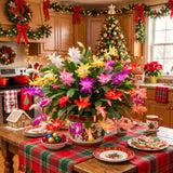 2 Live Christmas Cactus Plants, Multicolor Blooms, 4-8 Inch Houseplants