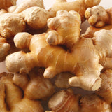 2 Live Ginger Plants, Well-Rooted Edible Herbs, 4-7 Inches Tall For Pots