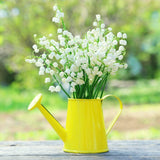 10 Lily Of The Valley Bulbs, White Fragrant Spring Flowers For Planting