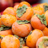 Cold-Hardy Persimmon Fruit Tree, Live 6-12 Inch Plant For Outdoor Gardens