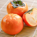 Cold-Hardy Persimmon Fruit Tree, Live 6-12 Inch Plant For Outdoor Gardens
