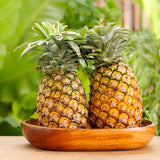 2 Live Pineapple Plants, 4-6 Inch Fruit Trees For Patio Container Growing