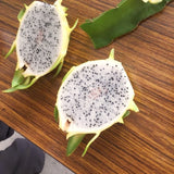 Live Yellow Dragon Fruit Plant, 6 Inch Tall Fruit Plant For Garden Growing