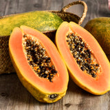 Live Papaya Tree In 4-Inch Pot, Sweet Edible Fruit For Patio Or Garden