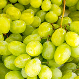 2 Live Green Yellow Grape Vines, Sweet Fruit Plants, 5-8 Inches Height