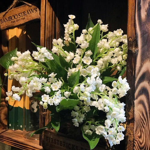 10 Lily Of The Valley Bulbs, White Fragrant Flowers For Spring Planting