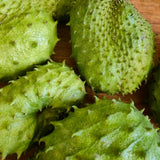 Live Guanabana Fruit Tree, 5-8 Inch Soursop Seedling For Garden Planting