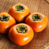 2 Live Persimmon Fruit Trees, Well-Rooted Plants, 1-2 Ft Tall, Dormant