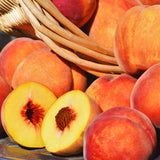 Live Peach Fruit Tree Plant, Sweet Peach, 6-10 Inches Tall For Gardens