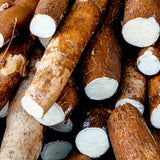 5 Sweet Yuca Cassava Cuttings, 6-8 Inch Stems For Home Vegetable Garden