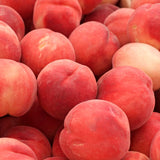 Live Peach Fruit Tree In 1 Gallon Pot, 20-26 Inches Tall For Home Gardens