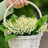 10 Lily Of The Valley Bulbs, White Fragrant Spring Flowers For Planting