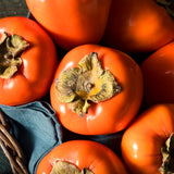 Cold-Hardy Persimmon Fruit Tree, Live 6-12 Inch Plant For Outdoor Gardens