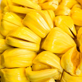 Live Jackfruit Fruit Tree Plant, 2-3 Ft Tall, For Tropical Outdoor Gardens
