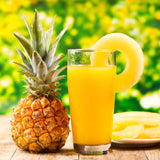 2 Live Pineapple Plants, 4-6 Inch Fruit Trees For Patio Container Growing