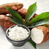 Tropical Outdoor Sweet Yuca Cassava Live Plant, 6-15 Inch Garden Vegetable