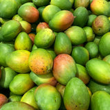 Live Sweet Mango Tree, 20-22 In Tall Tropical Fruit Plant In Gallon Pot