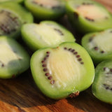 3 Live Cold-Hardy Fruit Vine Starters, 4-6 Inch Plants For Outdoor Gardens