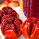 2 Live Pomegranate Fruit Trees, Well-Rooted Plants, 10 To 15 Inches Tall