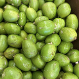 Live June Plum Tree In 1 Gallon Pot, 2-3 Feet Tall, For Garden Planting