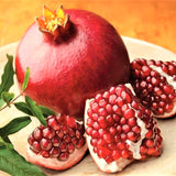 Live Pomegranate Fruit Tree Plant, Wonderful Variety, 5-10 Inches Tall