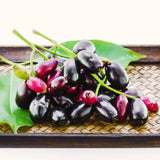 Live Black Plum Fruit Tree Plant, 22-26 Inch Tall, 1 Gallon Pot For Gardens