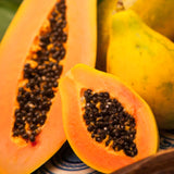 Live Papaya Tree In 4-Inch Pot, Sweet Edible Fruit For Patio Or Garden