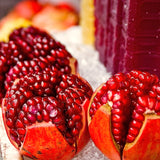 2 Live Wonderful Pomegranate Fruit Trees, Well-Rooted, 10-15 Inches Tall